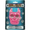 Brutus Self Defense Key Chain Pink