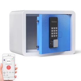 WeHere Safe Box with Digital Lock